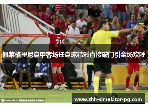 佩莱格里尼意甲客场任意球精彩直接破门引全场欢呼