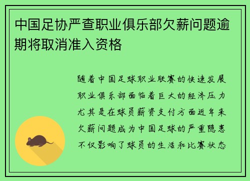 中国足协严查职业俱乐部欠薪问题逾期将取消准入资格