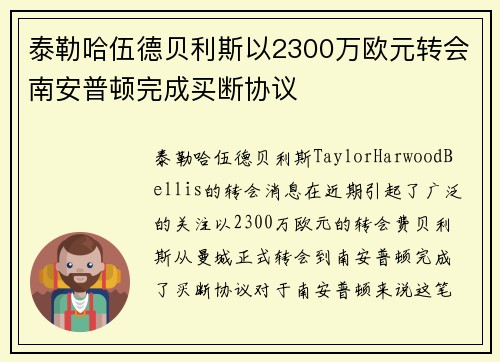 泰勒哈伍德贝利斯以2300万欧元转会南安普顿完成买断协议
